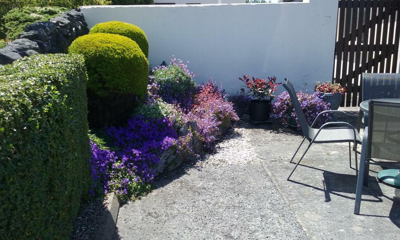 Gentian Villa B&B Ballyvaughan Εξωτερικό φωτογραφία
